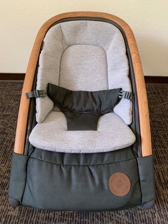 2-in-1 baby rocker 1