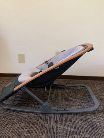 2-in-1 baby rocker 2