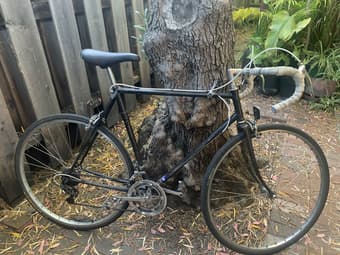 Old vintage rode bike *broken* 1