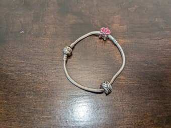 Pandora charm bracelet 1