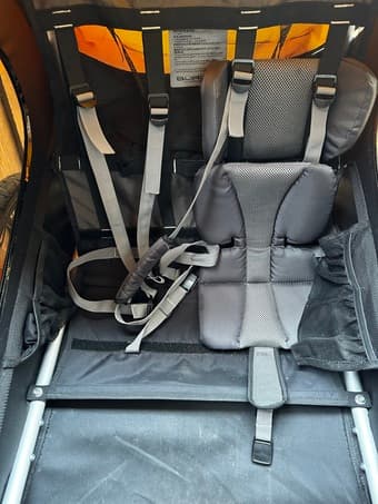 Burley bee double bike trailer 2