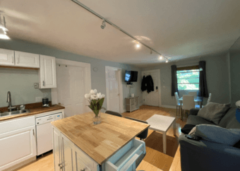 Furnished 1BR Apartment w/Garden in Downtown P.A. - avaiable now! 2