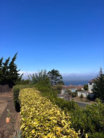 Single Bedroom in Oceanview Pacifica House Available - Sublet to Lease 2