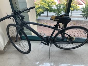 Raleigh bike 1