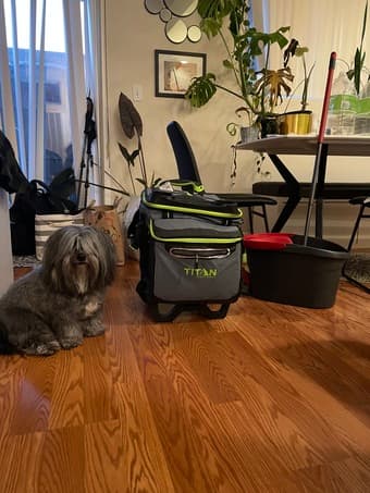 MOVING SALE! BBQ tools and Cooler Set 2