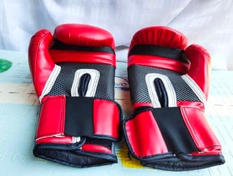 boxing gloves 2