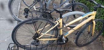 Raleigh Alysa 1 1
