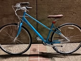 brilliant bike (silk smooth) 1