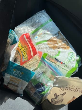 Hamster food, bedding, sand and treats! 1