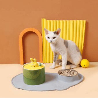 Pet water fountain 1