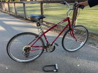 Bike (U-lock+seat lock) 2