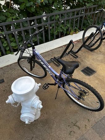 Free bike needs love 1