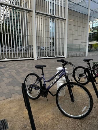 Free bike needs love 2