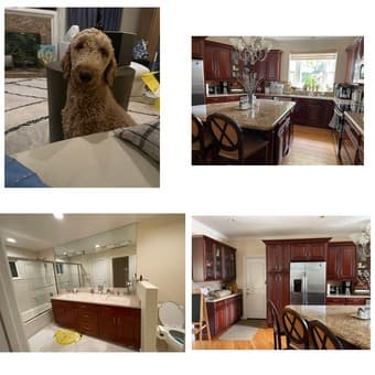 Move-In Ready Furnished Room in Renovated Mountain View Home 2
