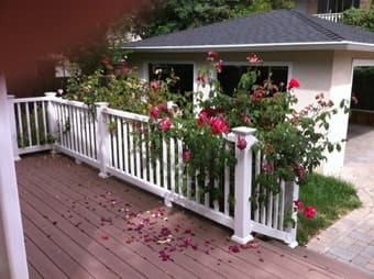 Master Bedroom in Palo Alto (3B3Br) 2