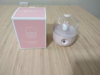 Mini Humidifier 1