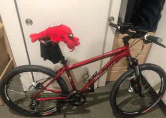 Speacialized Rockhopper Expert bike 1