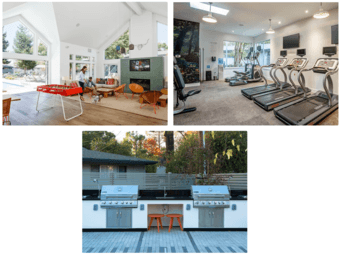 2B1B apartment for rent in Mountain View 94043 3