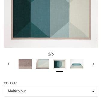 EQ3 Tofino rug 8x10 (Originally over 700) 1