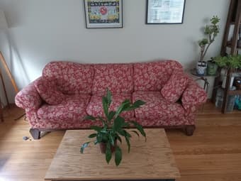 Couch 1