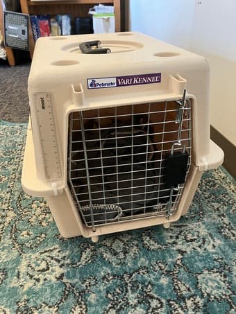 Pet Carrier - $25 1