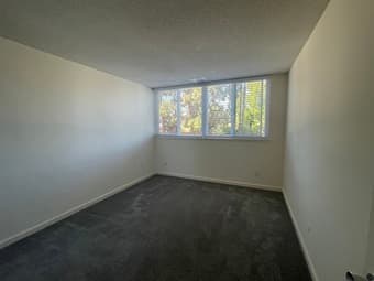 Stanford - 1b1b in a 2b2b apartment - available now 1