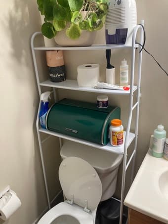 Bathroom shelving 1