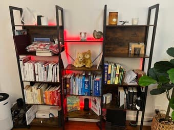 Book Shelf 1