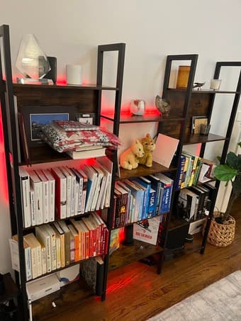 Book Shelf 3