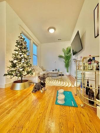 Sublet SF North Beach - Looking for a female roommate 3