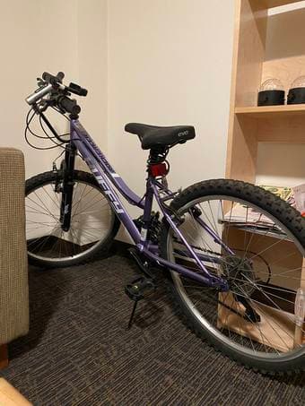 Women/Kids Bike (Like New) 1