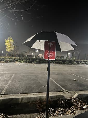 Great umbrella 1