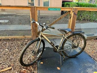TREK verve bike 1