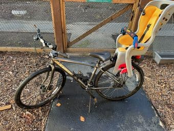 TREK verve bike 2