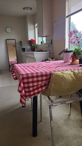 Bright and spacious 1BR Apartment near Stanford University 2