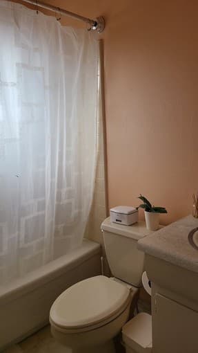 Bright and spacious 1BR Apartment near Stanford University 3