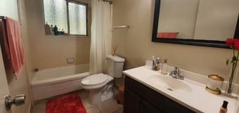 Spacious 1B1B in 2B2B in Palo Alto available April 1 2