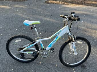Bike for shorter people 1