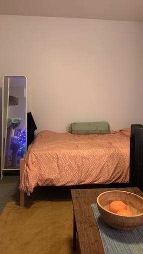 EV studio on campus for sublet (Spring quarter - early April to June) 2