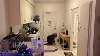 EV studio on campus for sublet (Spring quarter - early April to June) 3