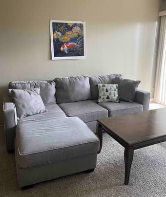 Sectional Couch 1