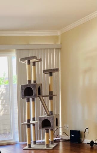 Cat Tree 1