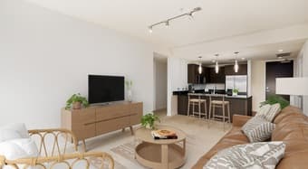 Large Fully Furnished Pvt Master BR + Bath (Santana Row/Santa Clara) 3