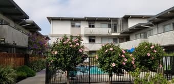 Furnished bedroom in 2B1B Apt near Downtown Mountain View from 20 July 2