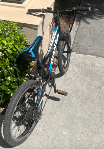 Kids Giant XTC bike 20inch 2