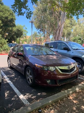 Selling 2010 Acura TSX, $14000 OBO 1