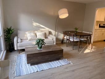 Couch $300 1