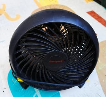 Fans 2