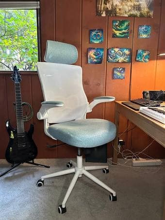 Ergonomic Office Chair 2