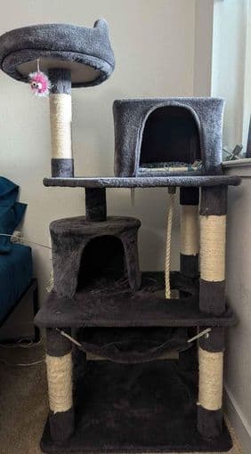 53" tall cat tree/tower - suitable for adult cats: Moving Sale 2